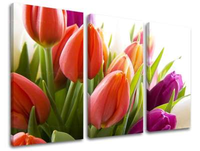 3 részes falfestmény FLOWERS XOBKV138E30