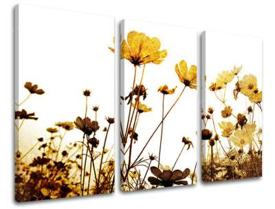 3 részes falfestmény FLOWERS XOBKV143E30