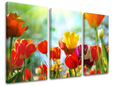 3 részes falfestmény FLOWERS XOBKV145E30