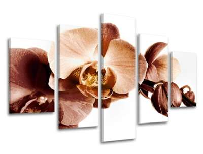 5 részes falfestmény FLOWERS XOBKV110E50