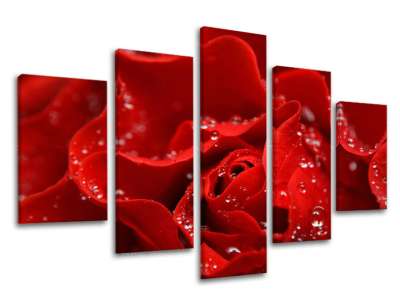 5 részes falfestmény FLOWERS XOBKV116E50