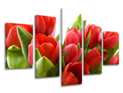 5 részes falfestmény FLOWERS XOBKV120E50