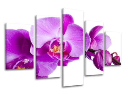 5 részes falfestmény FLOWERS XOBKV135E50