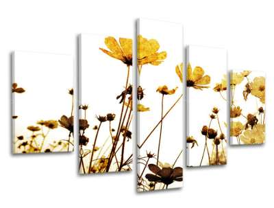 5 részes falfestmény FLOWERS XOBKV143E50