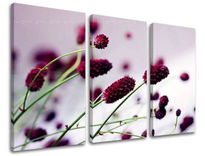 3 részes falfestmény FLOWERS KV007E30