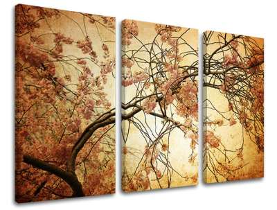 3 részes falfestmény FLOWERS KV009E30