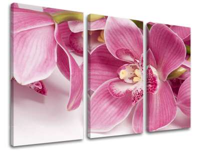 3 részes falfestmény FLOWERS KV034E30