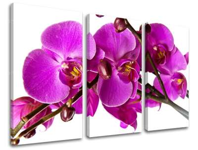 3 részes falfestmény FLOWERS KV053E30