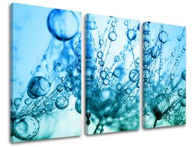 3 részes falfestmény FLOWERS KV060E30