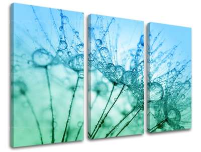 3 részes falfestmény FLOWERS KV061E30