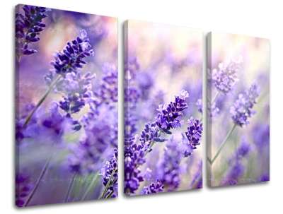 3 részes falfestmény FLOWERS KV070E30