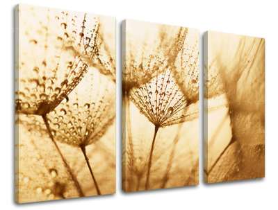 3 részes falfestmény FLOWERS KV071E30