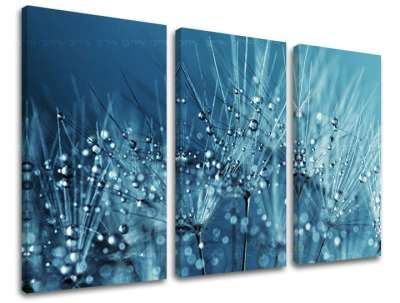 3 részes falfestmény FLOWERS KV085E30