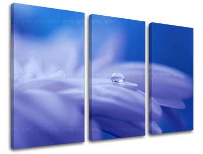 3 részes falfestmény FLOWERS KV087E30