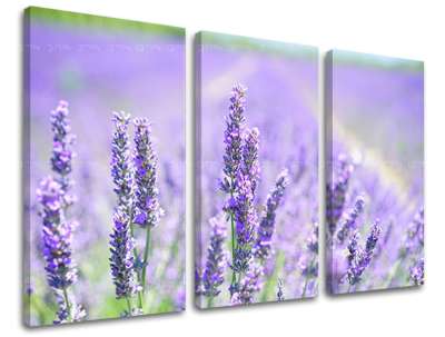 3 részes falfestmény FLOWERS KV092E30