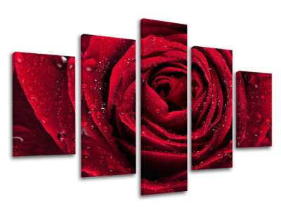 5 részes falfestmény FLOWERS KV012E50