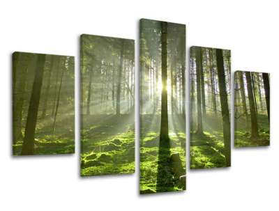 5 részes falfesték TREES ST021E50