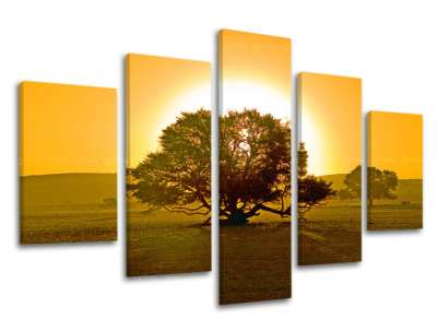 5 részes falfesték TREES ST024E50