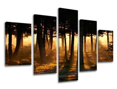 5 részes falfesték TREES ST025E50