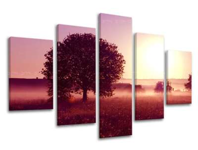 5 részes falfesték WEST SLNKA ZS020E50 ZS020E50