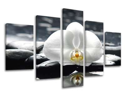 5-részes falfestmény FENG SHUI FS018E50