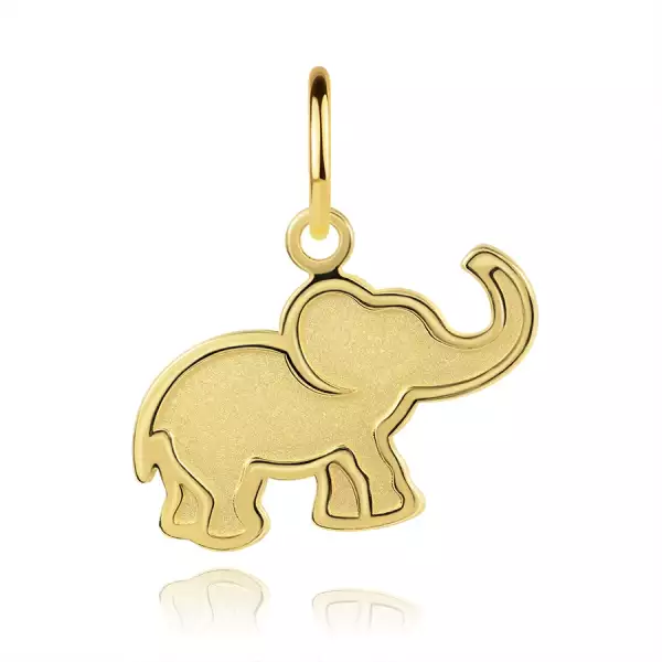 Medál sárga 14K aranyból - kis lapos elefánt matt középpel
