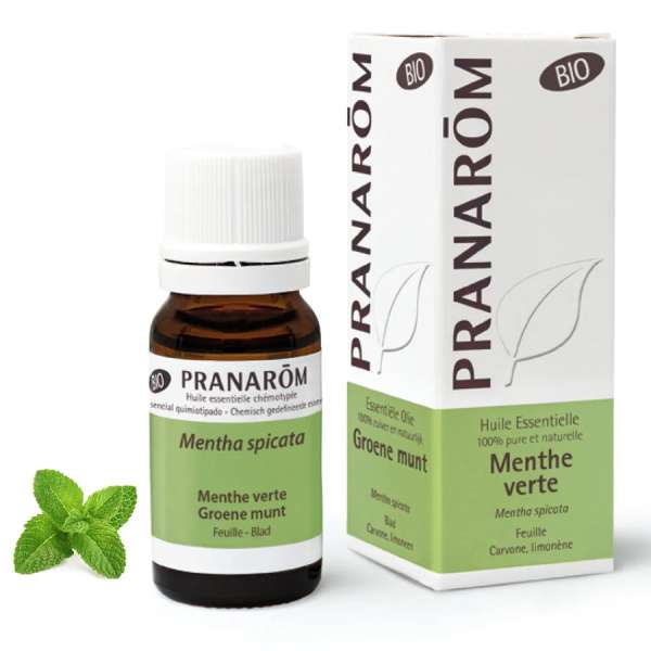 Pranarom Fodormenta – mentha spicata bio 10 ml