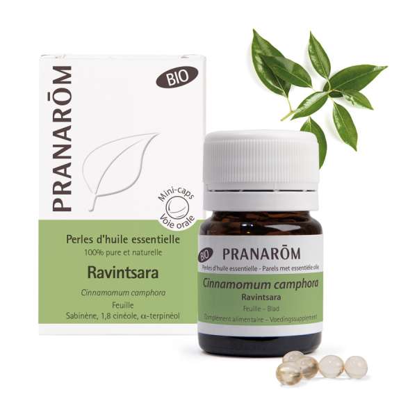 Pranarom Ravintsara 