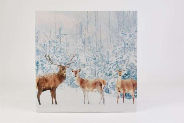 Fali kép Szarvas az erdőben LED időzítővel 40 x 40 cm