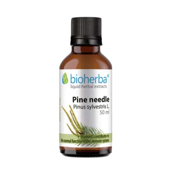 Bioherba Erdeifenyő-hajtás tinktúra cseppek – 50 ml