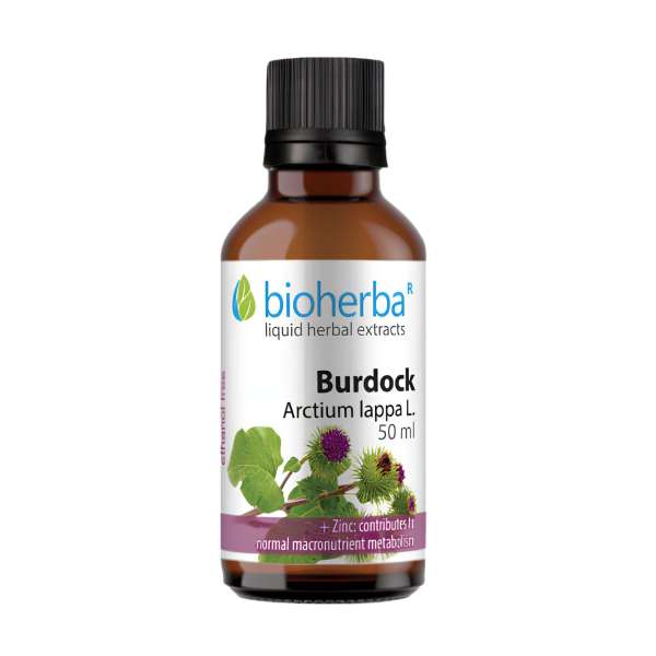 Bioherba nagy bojtorján tinktúra cseppek – 50 ml
