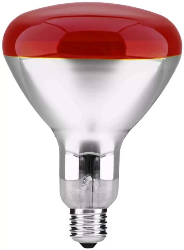 Infra melegitő izzó 100 W E/27 R 95 red