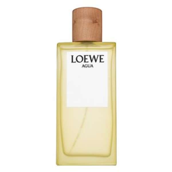 Loewe Agua de Loewe Eau de Toilette uniszex 100 ml
