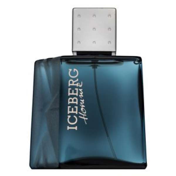 Iceberg Homme Eau de Toilette férfiaknak 100 ml