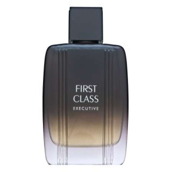 Aigner First Class Executive Eau de Toilette férfiaknak 100 ml