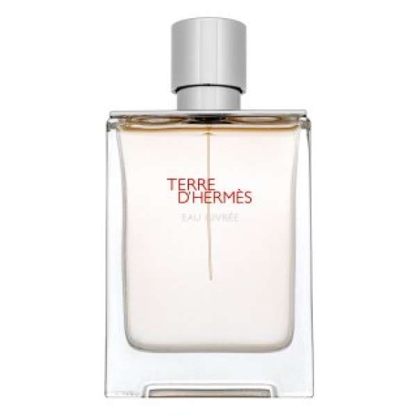 Hermès Terre d’Hermès Eau Givrée - Refillable Eau de Parfum férfiaknak 100 ml