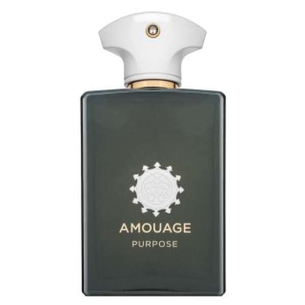 Amouage Purpose Eau de Parfum uniszex 100 ml