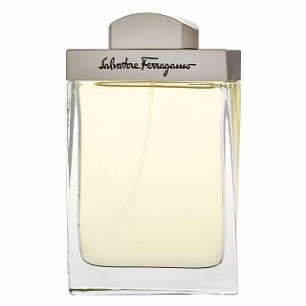 Salvatore Ferragamo Pour Homme Eau de Toilette férfiaknak 100 ml