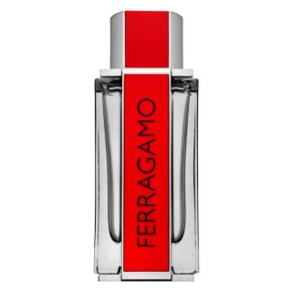 Salvatore Ferragamo Ferragamo Red Leather Eau de Parfum férfiaknak 100 ml