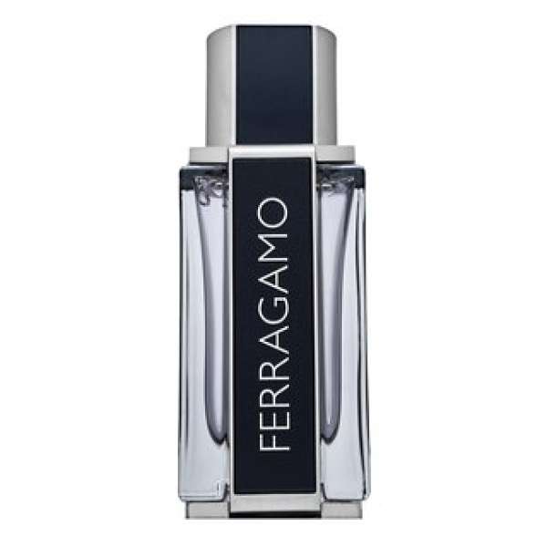 Salvatore Ferragamo Ferragamo Eau de Toilette férfiaknak 50 ml