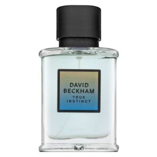 David Beckham True Instinct Eau de Parfum férfiaknak 50 ml