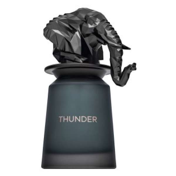 French Avenue Thunder Eau de Parfum férfiaknak 100 ml