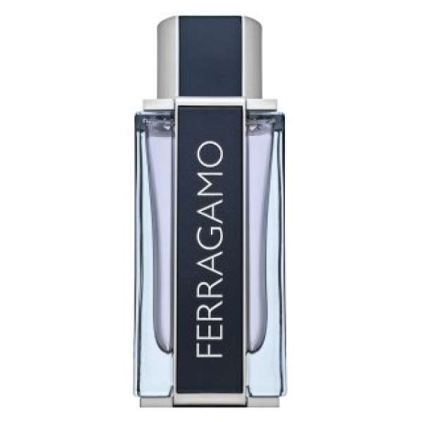 Salvatore Ferragamo Ferragamo Eau de Toilette férfiaknak 100 ml