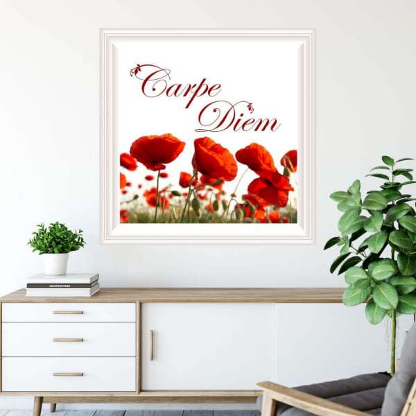 Tapéta idézettel - Carpe Diem, pipacs