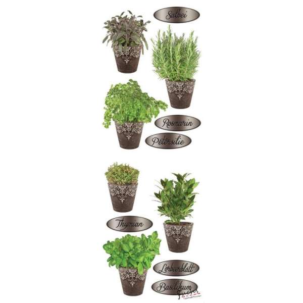 Fűszernövények cserépben matrica üvegre és falra