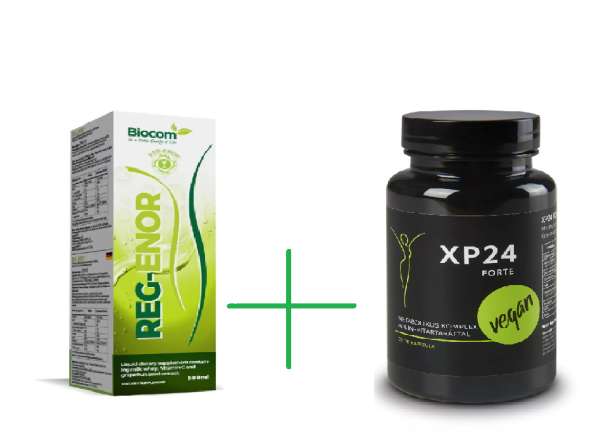 XP 24 Forte + Regenor méregtelenítő csomag