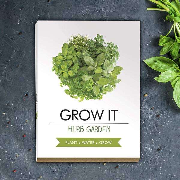 Grow it - Fűszernövény