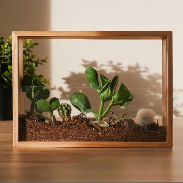 DIY vertikális kertkészítő szett