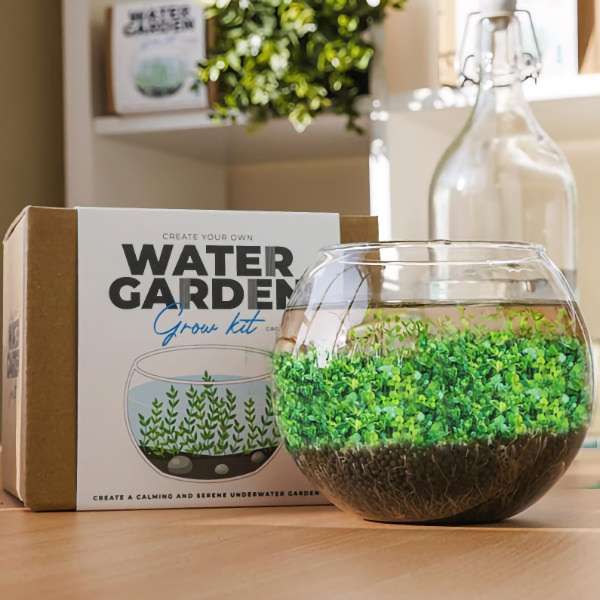 Grow it - Neveld meg a saját vízikertedet