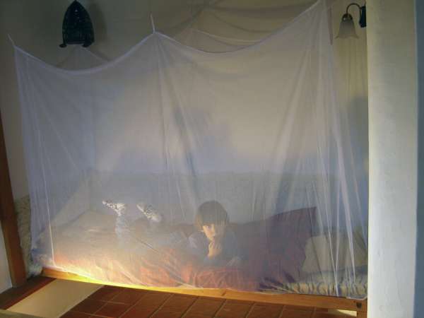 Brettschneider Standard BS szúnyogháló doboz I